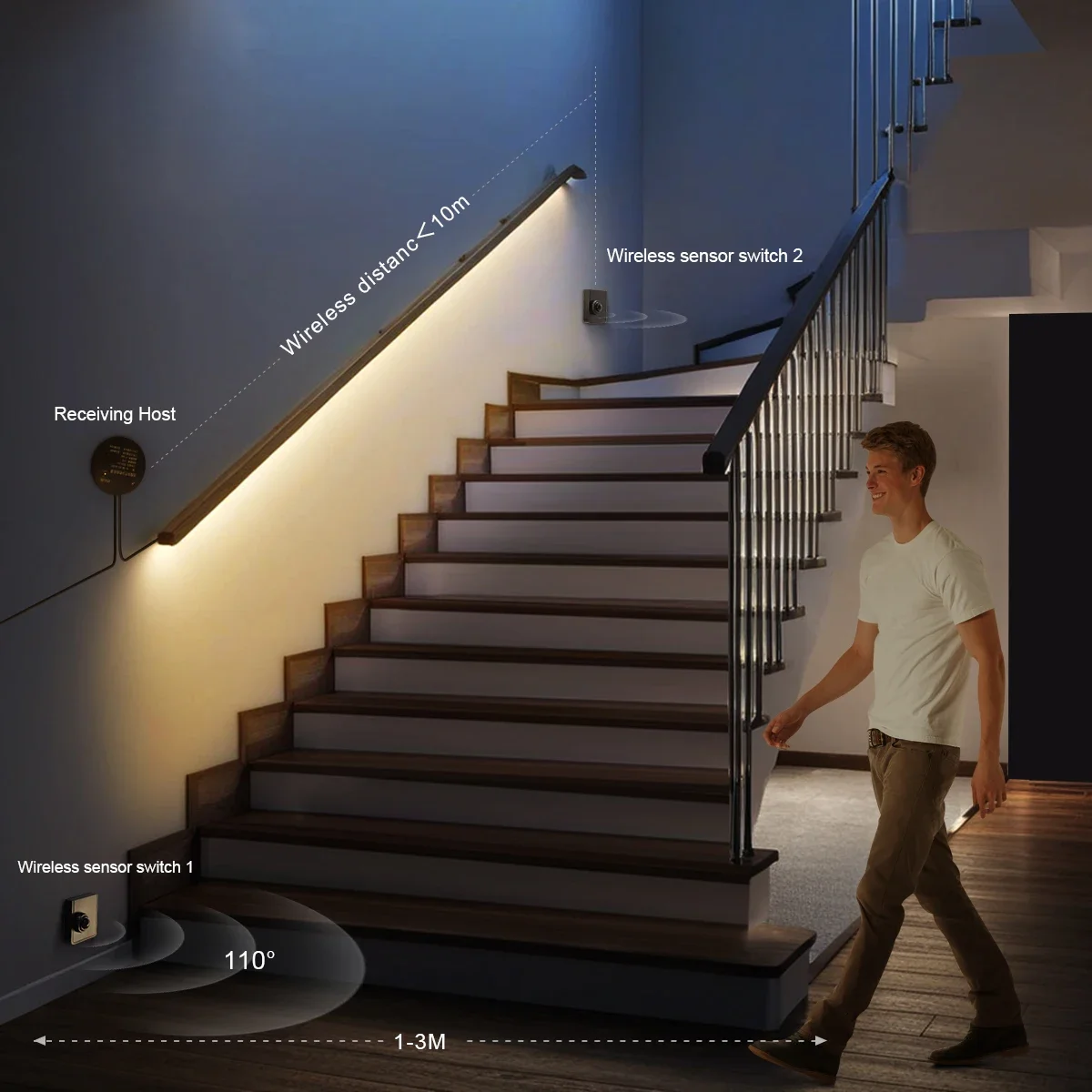 Dual Wireless Moveable PIR Mot - Ladder Toss Set ulasan dan harga